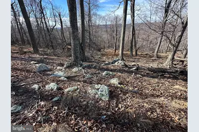 Lots # 35 & 117 River Ridge, Yellow Spring, WV 26865 - Photo 23