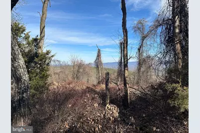 Lots # 35 & 117 River Ridge, Yellow Spring, WV 26865 - Photo 3