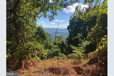 Lots # 35 & 117 River Ridge, Yellow Spring, WV 26865 - Photo 11