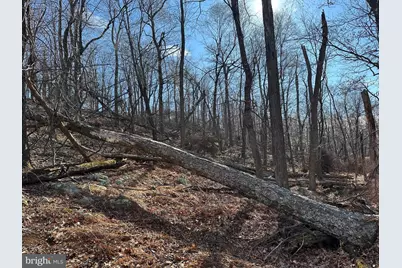 Lots # 35 & 117 River Ridge, Yellow Spring, WV 26865 - Photo 25