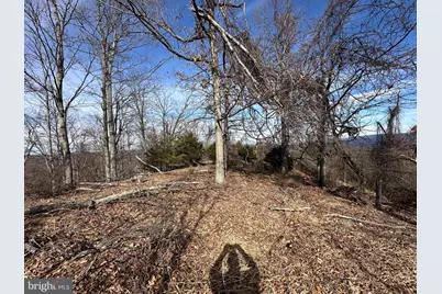 Lots # 35 & 117 River Ridge, Yellow Spring, WV 26865 - Photo 13