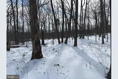 Lot 6 Pauls Woods Rd, Delray, WV 26714 - Photo 5