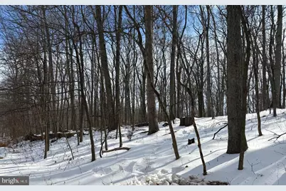 Lot 6 Pauls Woods Rd, Delray, WV 26714 - Photo 11