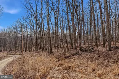 Lot 6 Pauls Woods Rd, Delray, WV 26714 - Photo 7