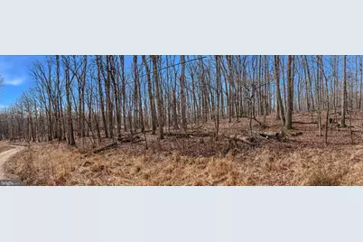 Lot 6 Pauls Woods Rd, Delray, WV 26714 - Photo 19