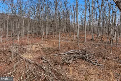 Lot 6 Pauls Woods Rd, Delray, WV 26714 - Photo 3