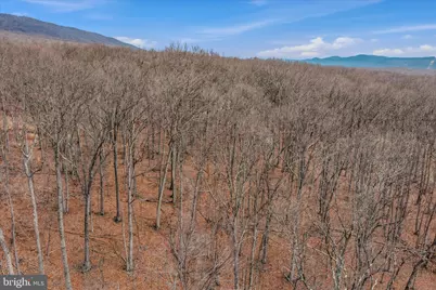 Lot 6 Pauls Woods Rd, Delray, WV 26714 - Photo 27