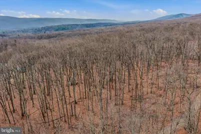 Lot 6 Pauls Woods Rd, Delray, WV 26714 - Photo 9