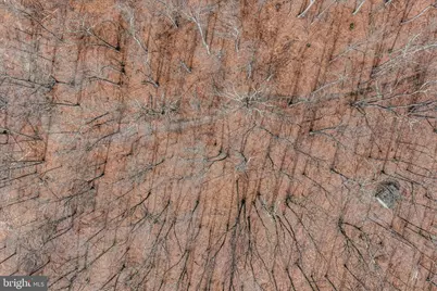 Lot 6 Pauls Woods Rd, Delray, WV 26714 - Photo 23