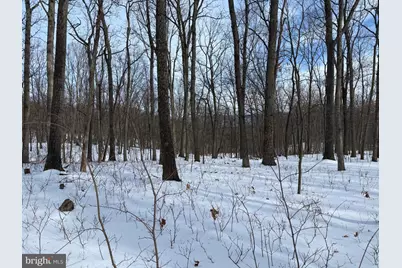 Lot 6 Pauls Woods Rd, Delray, WV 26714 - Photo 1