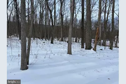 Lot 6 Pauls Woods Rd, Delray, WV 26714 - Photo 9