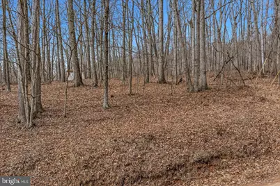 Lot 6 Pauls Woods Rd, Delray, WV 26714 - Photo 21