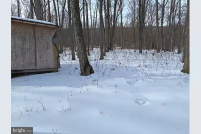 Lot 6 Pauls Woods Rd, Delray, WV 26714 - Photo 7