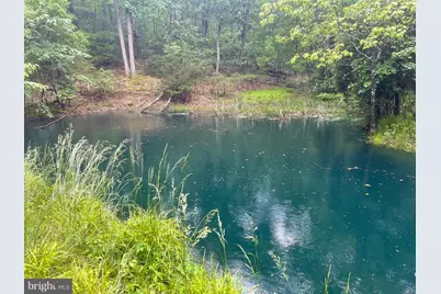 559 Tatonka Trail, Delray, WV 26714 - Photo 21