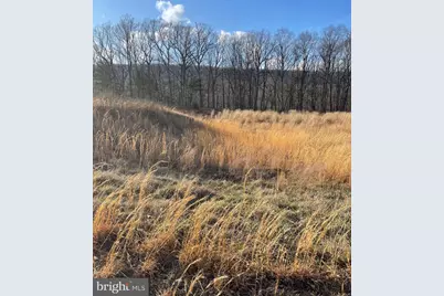 559 Tatonka Trail, Delray, WV 26714 - Photo 7