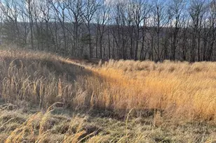 559 Tatonka Trl, Delray, WV 26714 - Photo 7