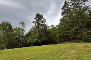 559 Tatonka Trl, Delray, WV 26714 - Photo 5