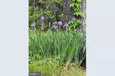 559 Tatonka Trail, Delray, WV 26714 - Photo 11