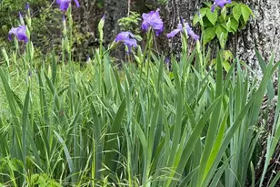 559 Tatonka Trl, Delray, WV 26714 - Photo 11