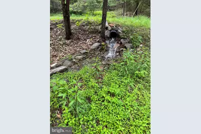 559 Tatonka Trail, Delray, WV 26714 - Photo 45