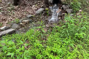 559 Tatonka Trl, Delray, WV 26714 - Photo 13