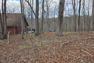 4605 Critton-Owl Hollow Rd, Paw Paw, WV 25434 - Photo 43