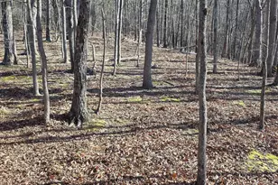 4605 Critton-Owl Hollow Rd, Paw Paw, WV 25434 - Photo 31