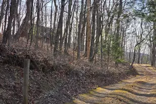 4605 Critton-Owl Hollow Rd, Paw Paw, WV 25434 - Photo 3