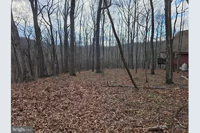 4605 Critton Owl Hollow Road, Paw Paw, WV 25434 - Photo 41