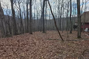 4605 Critton-Owl Hollow Rd, Paw Paw, WV 25434 - Photo 41