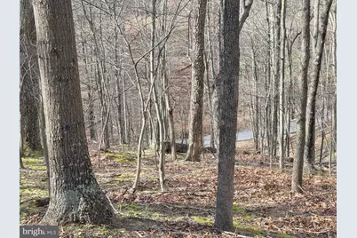 4605 Critton Owl Hollow Road, Paw Paw, WV 25434 - Photo 51