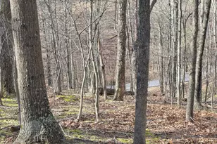 4605 Critton-Owl Hollow Rd, Paw Paw, WV 25434 - Photo 51