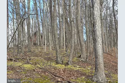 4605 Critton Owl Hollow Road, Paw Paw, WV 25434 - Photo 39