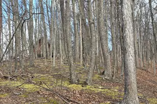 4605 Critton-Owl Hollow Rd, Paw Paw, WV 25434 - Photo 39