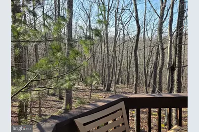 4605 Critton Owl Hollow Road, Paw Paw, WV 25434 - Photo 33