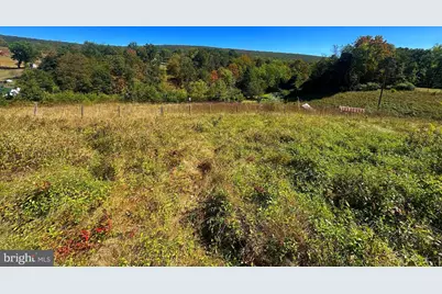 3500 Paw Paw Road, Paw Paw, WV 25434 - Photo 7