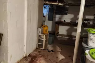 140 Whippoorwill Dr, Romney, WV 26757 - Photo 9