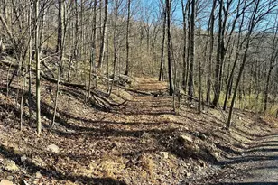 256 Lawyer Ln, Slanesville, WV 25444 - Photo 1