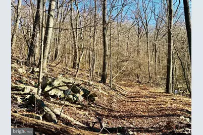 256 Lawyer Lane, Slanesville, WV 25444 - Photo 3