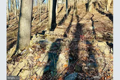 Lot 13 Sec 8 Lawyer Lane, Slanesville, WV 25444 - Photo 9