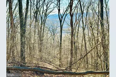 Lot 13 Sec 8 Lawyer Lane, Slanesville, WV 25444 - Photo 3