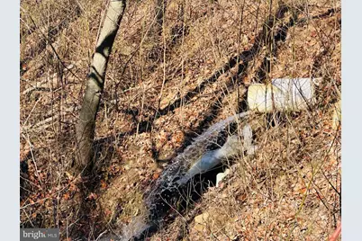 Lot 13 Sec 8 Lawyer Lane, Slanesville, WV 25444 - Photo 7