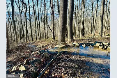 Lot 13 Sec 8 Lawyer Lane, Slanesville, WV 25444 - Photo 11