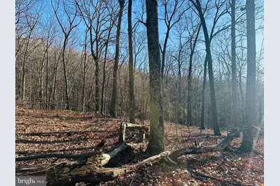 Lot 18 Sec 8 Butterfly Lane, Slanesville, WV 25444 - Photo 5