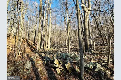 Lot 18 Sec 8 Butterfly Lane, Slanesville, WV 25444 - Photo 7