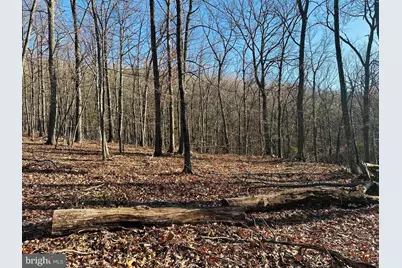 Lot 18 Sec 8 Butterfly Lane, Slanesville, WV 25444 - Photo 3