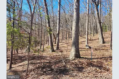 Lot 17 Top Drive, Romney, WV 26757 - Photo 33