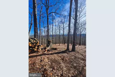 Lot 17 Top Drive, Romney, WV 26757 - Photo 19