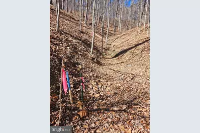 Lot 17 Top Drive, Romney, WV 26757 - Photo 31