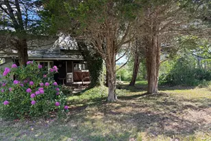 986 Rushing River Rd, Augusta, WV 26704 - Photo 5